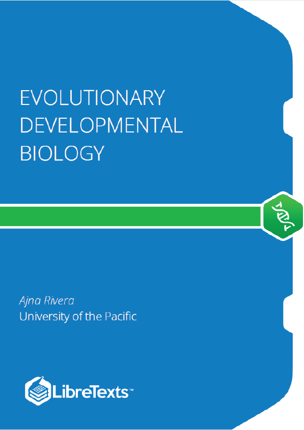 Evolutionary Developmental Biology (Rivera)