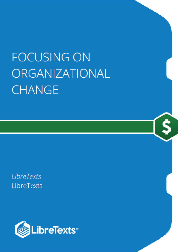 Focusing on Organizational Change