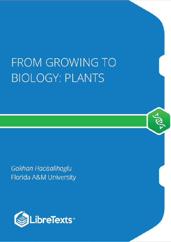 From Growing to Biology Plants (Hacisalihoglu)