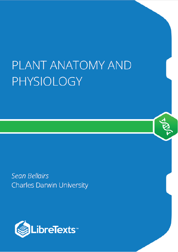 Plant Anatomy and Physiology (Bellairs)