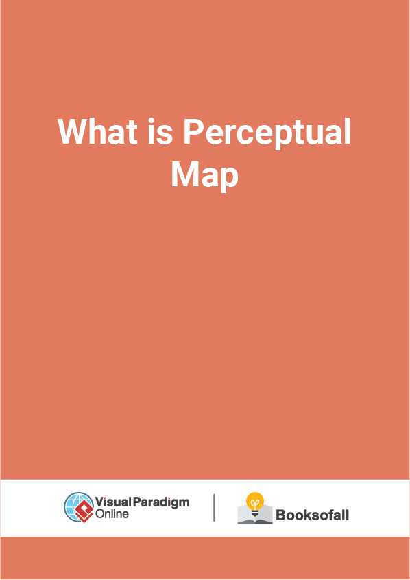 What is Perceptual Map