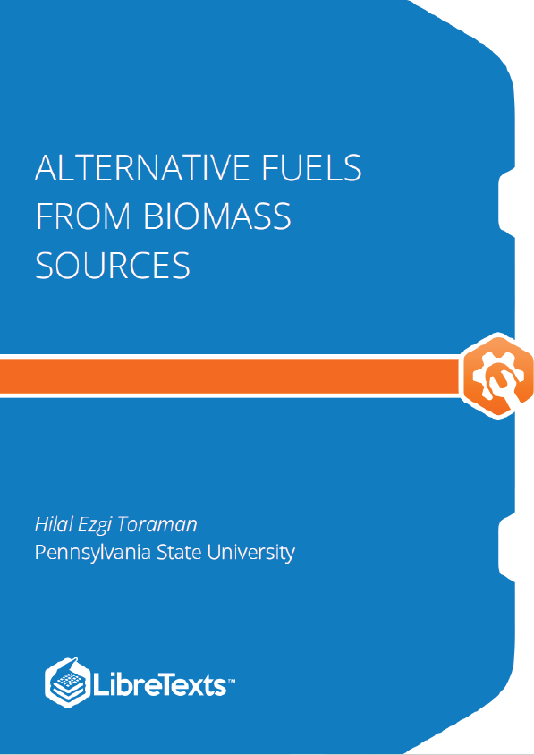 Alternative Fuels from Biomass Sources (Toraman)