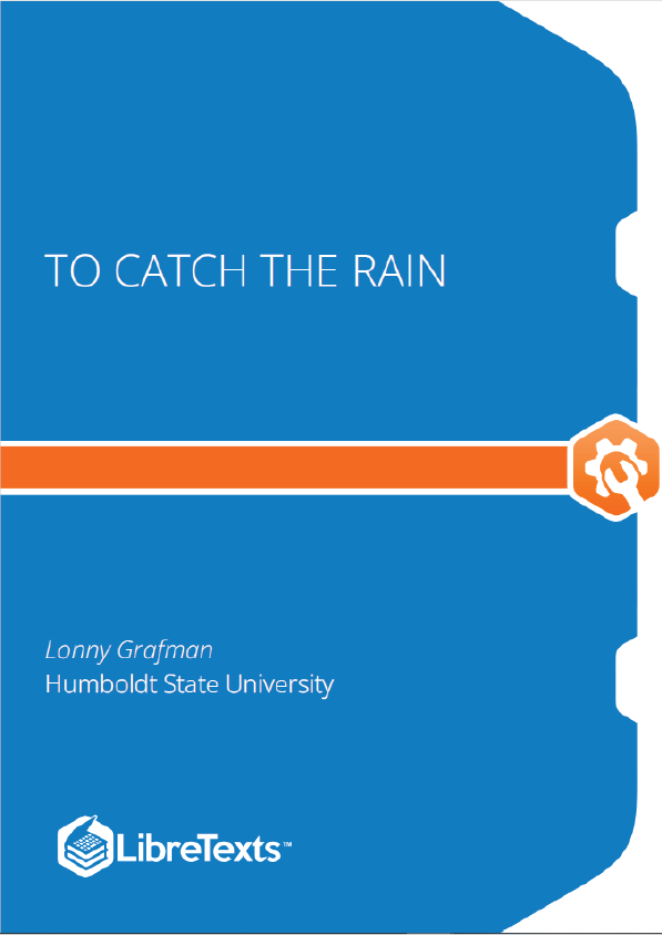 To Catch the Rain (Grafman)