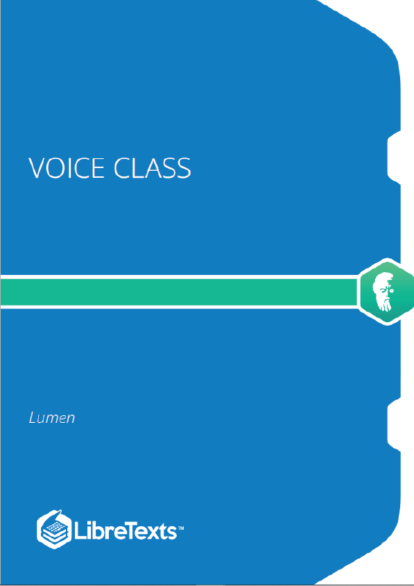 Voice Class (Lumen)