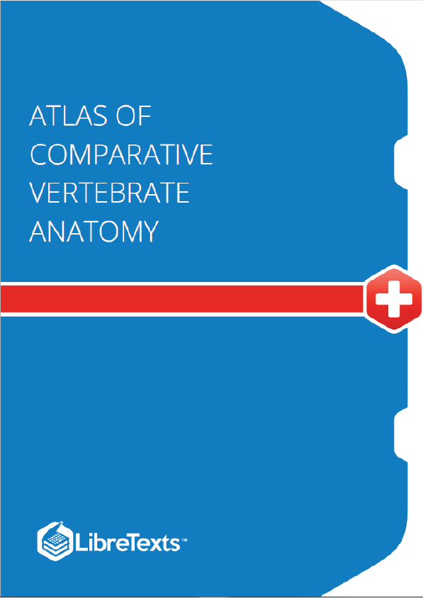 Atlas of Comparative Vertebrate Anatomy