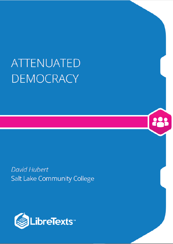 Attenuated Democracy (Hubert)