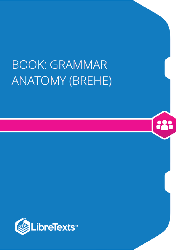 Grammar Anatomy (Brehe)