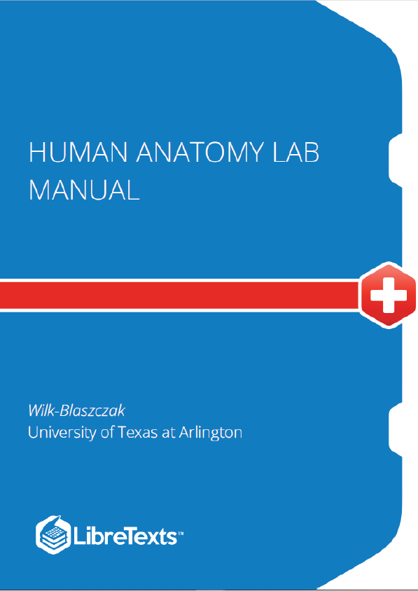 Human Anatomy Lab Manual (Wilk-Blaszczak)