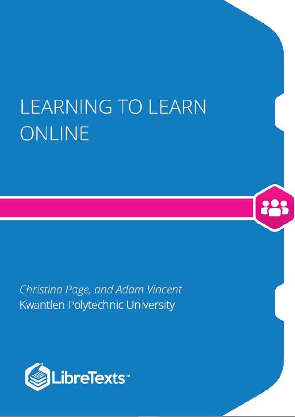 Learning to Learn Online (Page and Vincent)