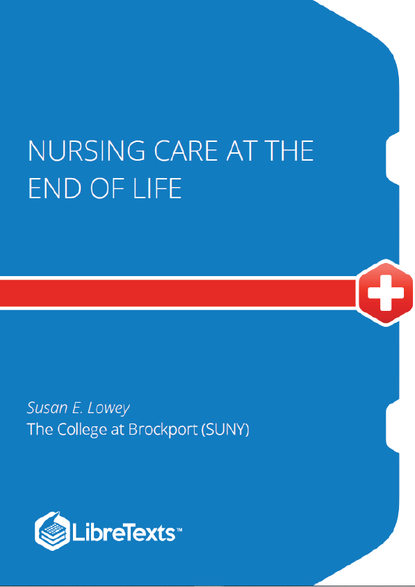 Nursing Care at the End of Life (Lowey)