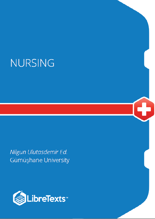 Nursing (Ulutasdemir)