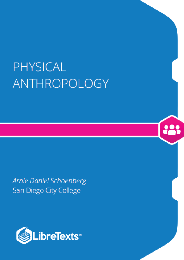 Physical Anthropology (Schoenberg)