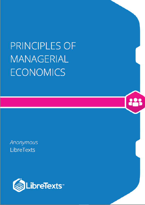 Principles of Managerial Economics