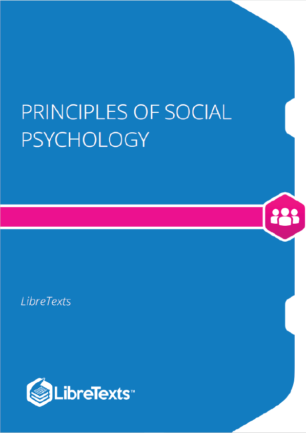 Principles of Social Psychology