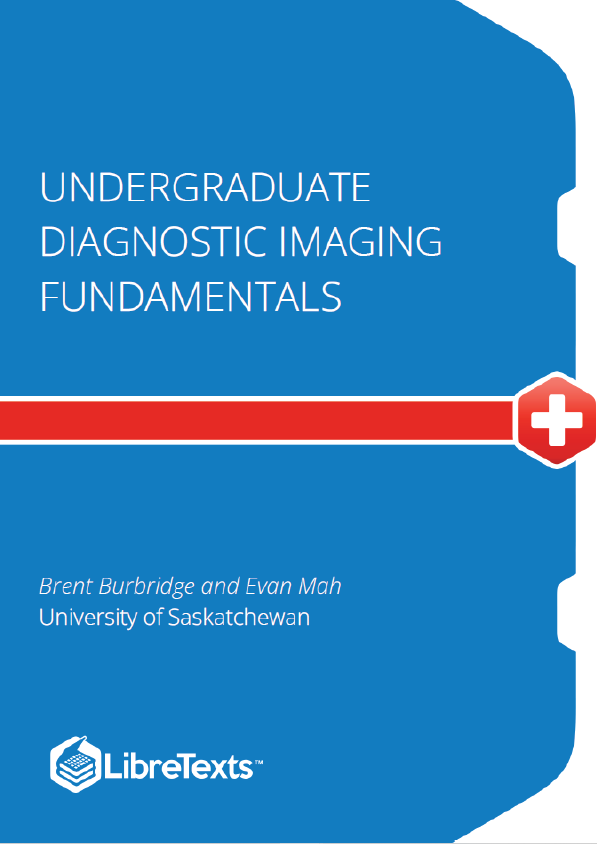 Undergraduate Diagnostic Imaging Fundamentals (Burbridge and Mah)