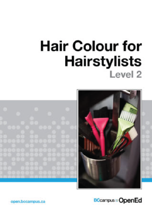 Hair Colour for Hairstylists Level 2