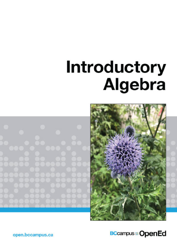 Introductory Algebra