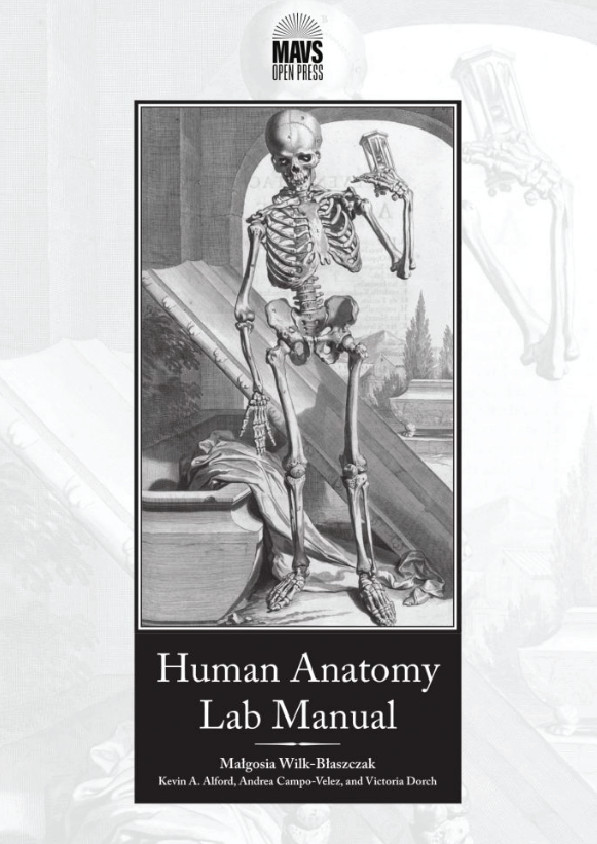 Human Anatomy Lab Manual