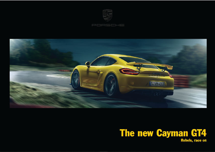 Porsche_US Cayman-GT4_2015-2