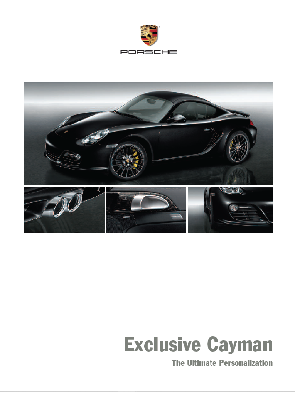 Porsche_US Cayman_2010